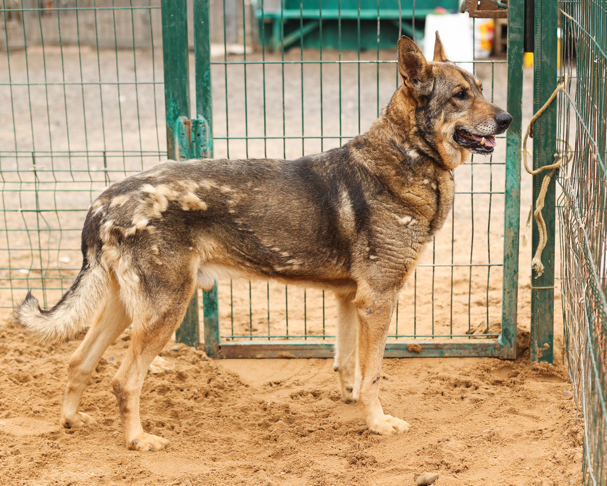 В кого я здесь превращаюсь...?