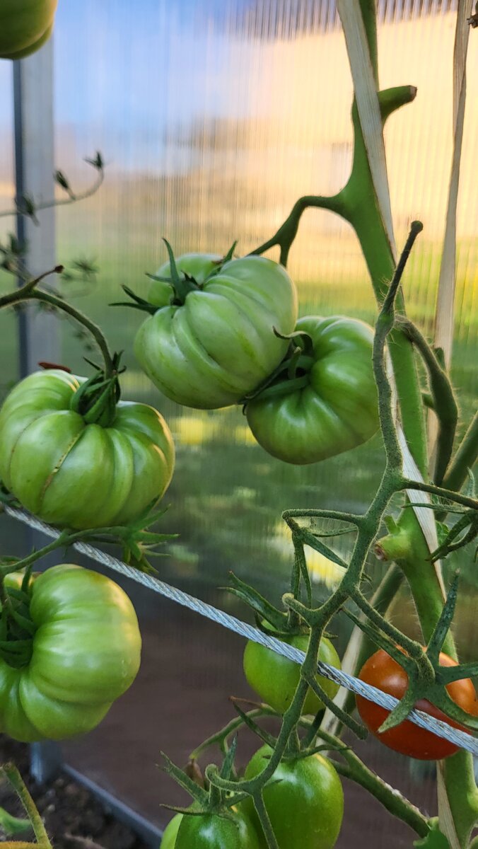 Литиевый Закат (Lithium Sunset)