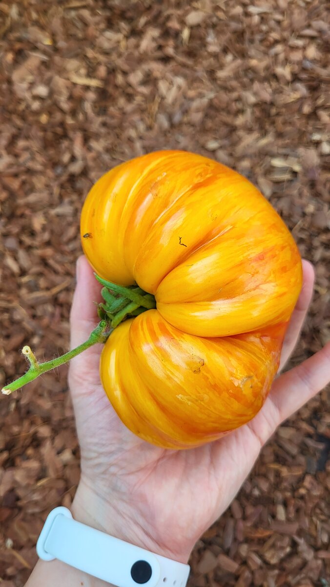 Литиевый Закат (Lithium Sunset)