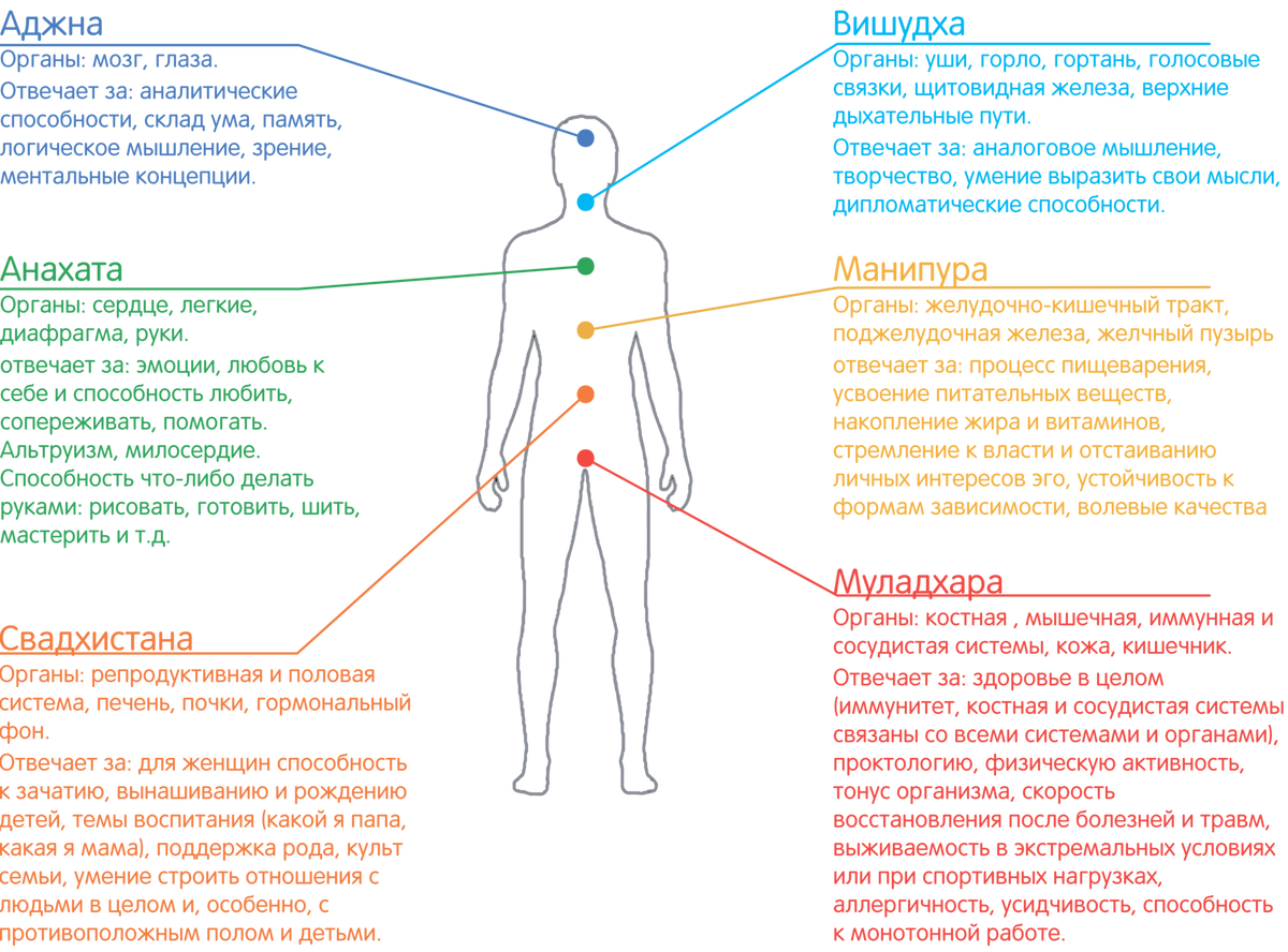 Какие стороны человеческой. Чакры человека описание. Чакры расшифровка показателей. Чакры с описанием таблица. Чакры спереди и сзади.
