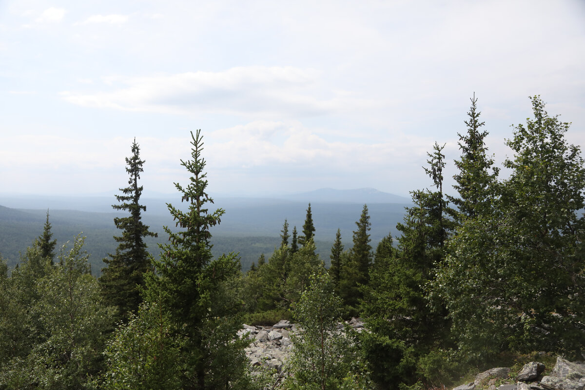 антенна телесемь телепрограмма. телепрограмма канала россия. газета телепрограмма. телепрограмма на новогодние праздники. телепрограмма 1994.