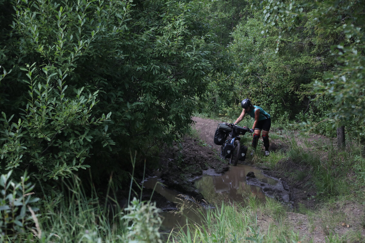 Остромирово евангелие книга. Жатвы много а делателей мало. Евангелие дня 17 ноября 2023г. Евангелие дня 17 ноября 2023г. Танах и евангелие.