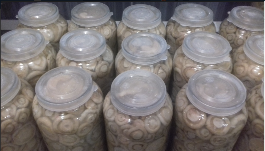 Грибы для засолки лучше варить или вымачивать? Плюсы и минусы двух способов предварительной обработки