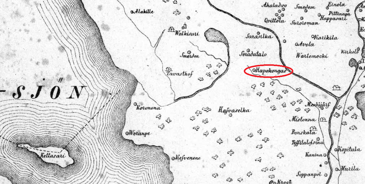 Карта Нотебургского лёна (Ингерманландия). 1630-e гг. Denna Landt Karta ofver Noteborg Lahn... 1699 Начерчена П.Васандером с оригинала первой трети XVII века. Фрагмент 