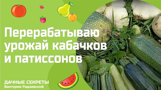 Как перерабатываю урожай кабачков и патиссонов