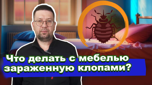 Что делать с мебелью зараженную клопами? Обнаружили клопов в диване или кровати, выкидывать