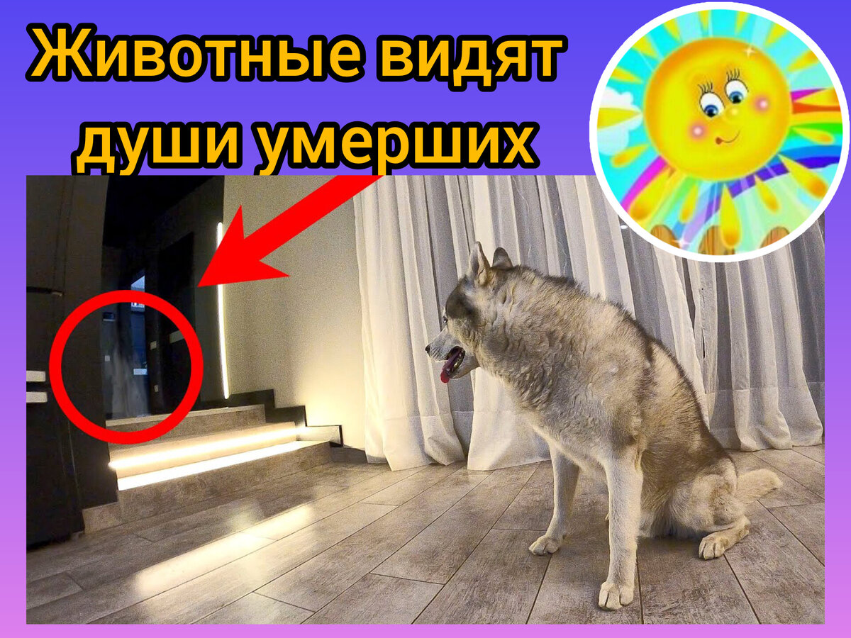 Личный архив