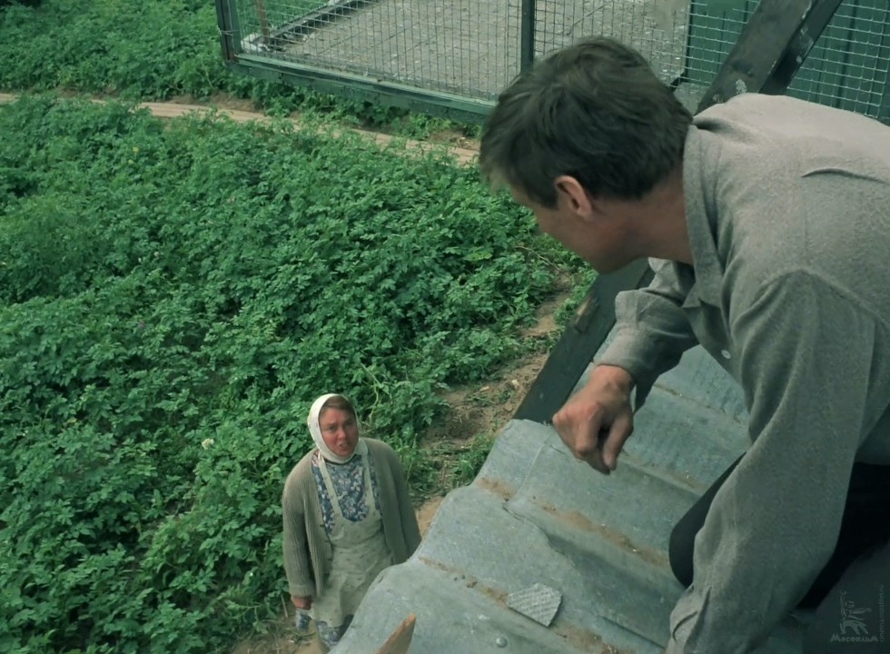 Надя — Я щас тебя, паразита, так использую!..