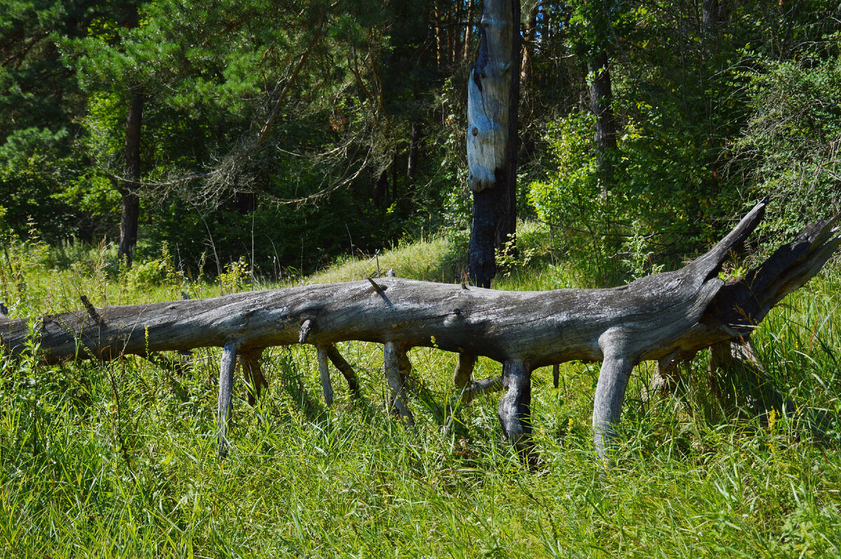 Молния ударила