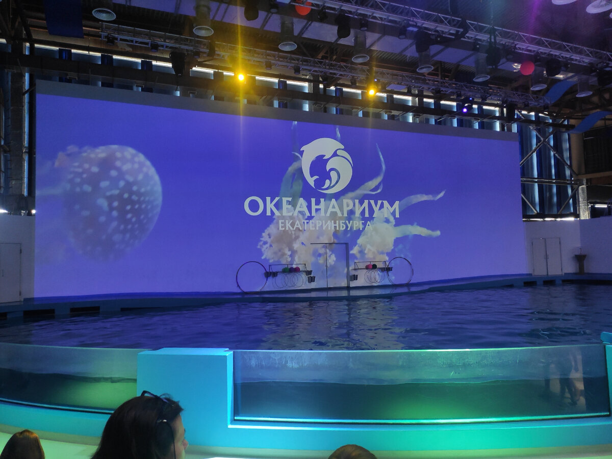 Дельфинарий екб. Дельфинарий екатеринбург. Дельфинарий екб. Дельфинарий екатеринбург зал. Дельфинарий екатеринбург 2024.