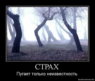 Изображение с сайта с открытым доступом.