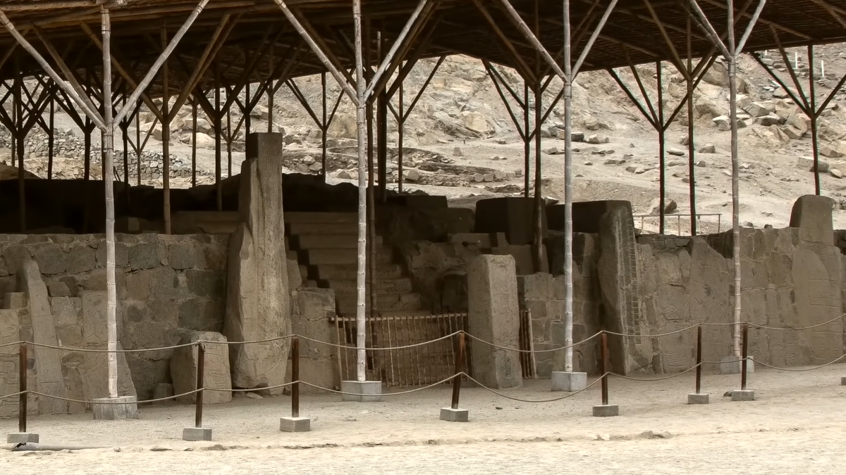 Красивые перья птиц. Птичье перо. Загадка перышко. Красивое перо. Разнообразие перьев.