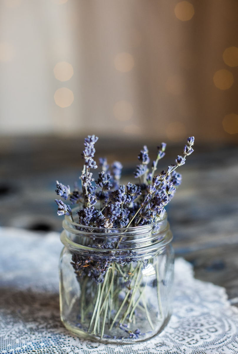 Источник: Unsplash