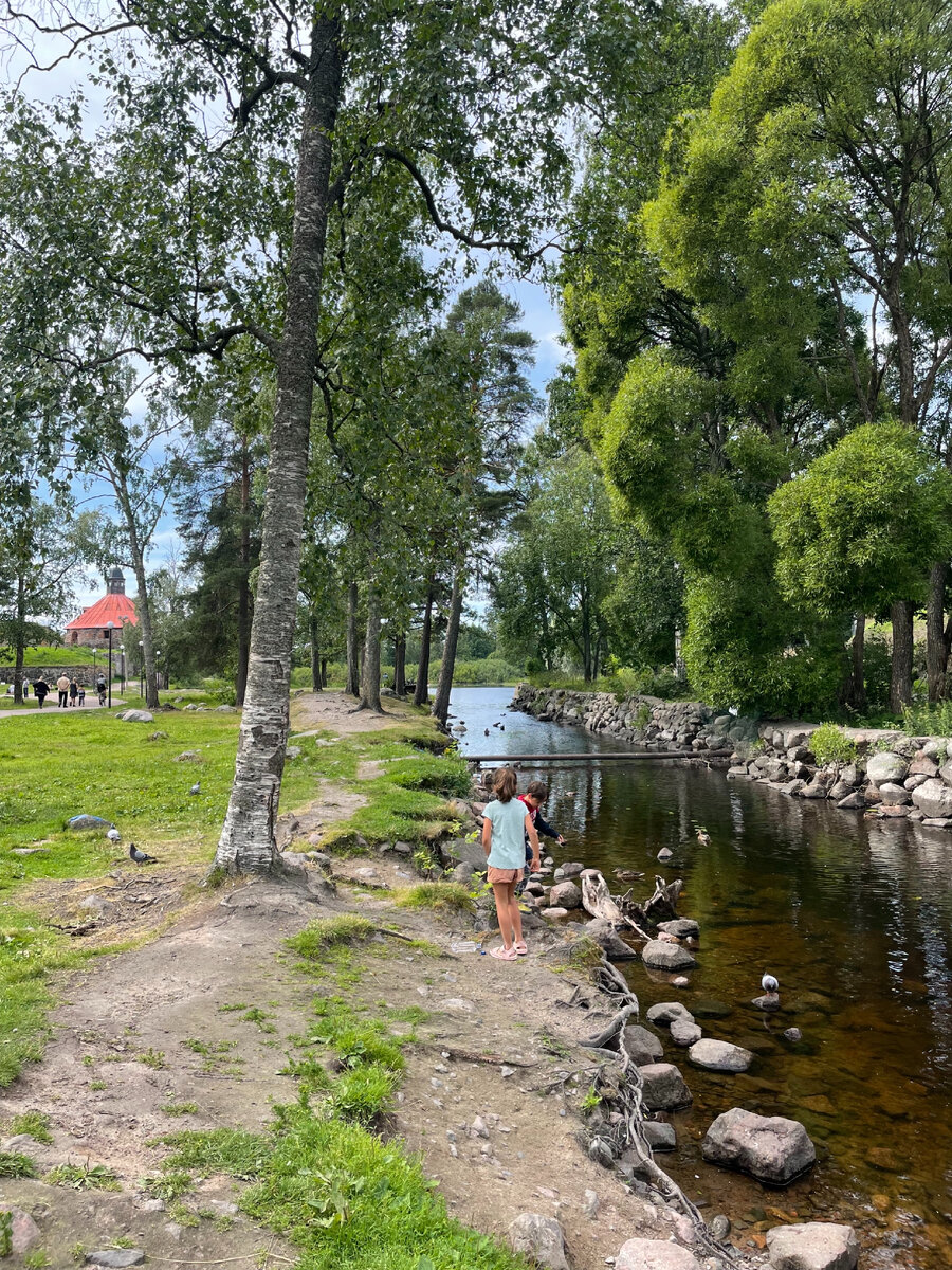 Очень симпатичная территория!