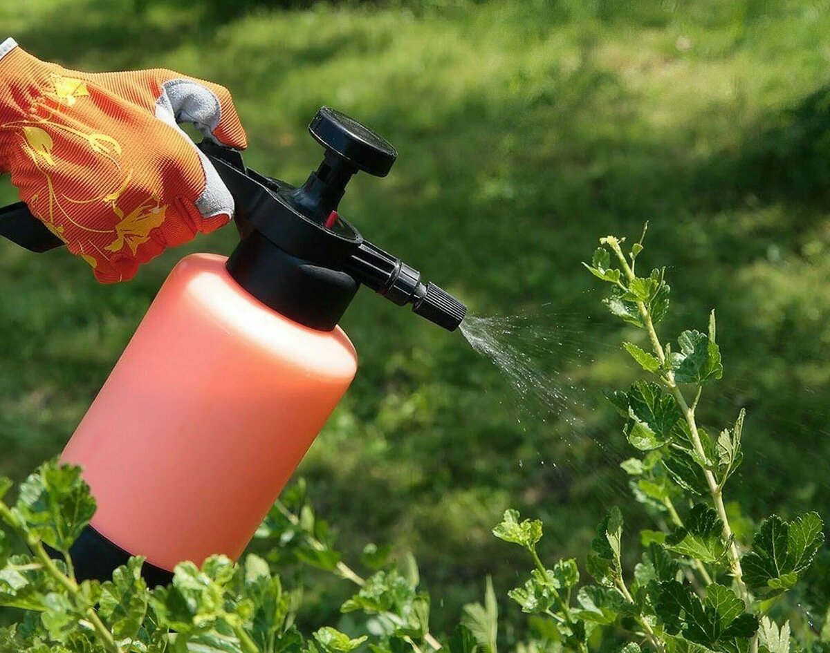 Удобряй