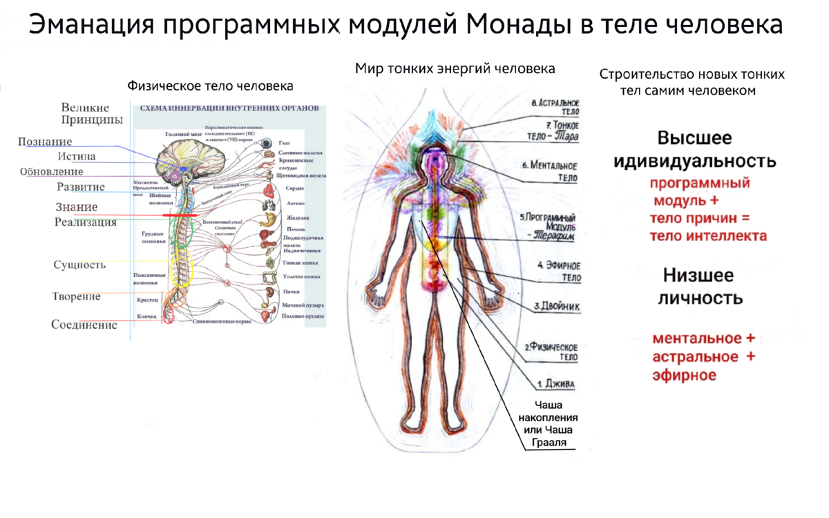 Эманация программных модулей Монады в теле человека.