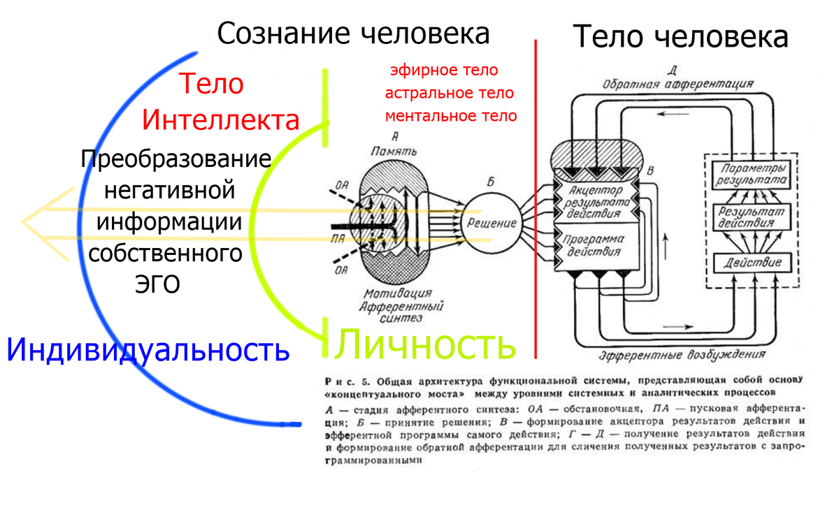 Схема человек и информация