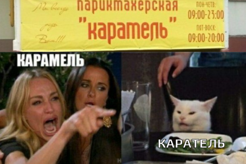 Откуда взялся мем с котом