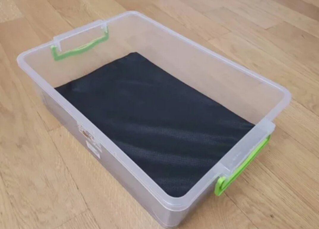 Мат в террариуме. Фото из Интернета.