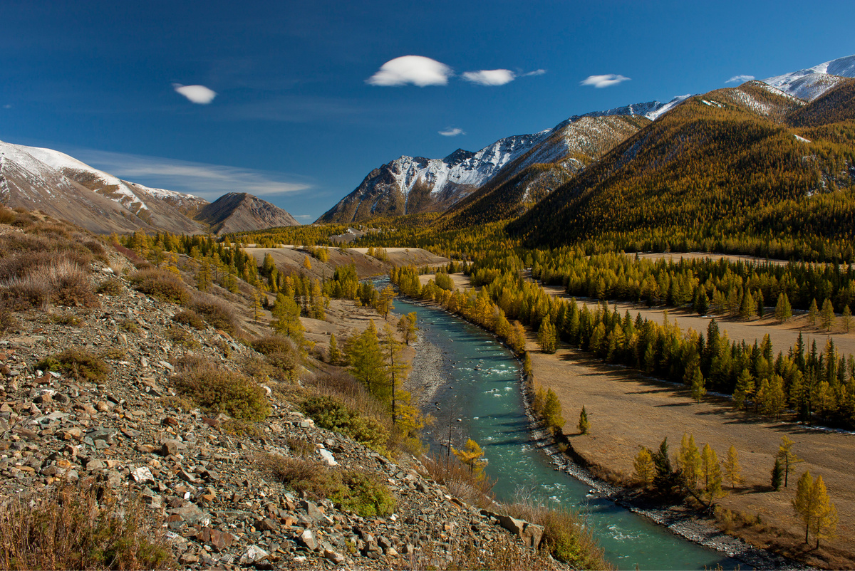 © commons.wikimedia.org by Alltunin is licensed under CC BY-SA 4.0