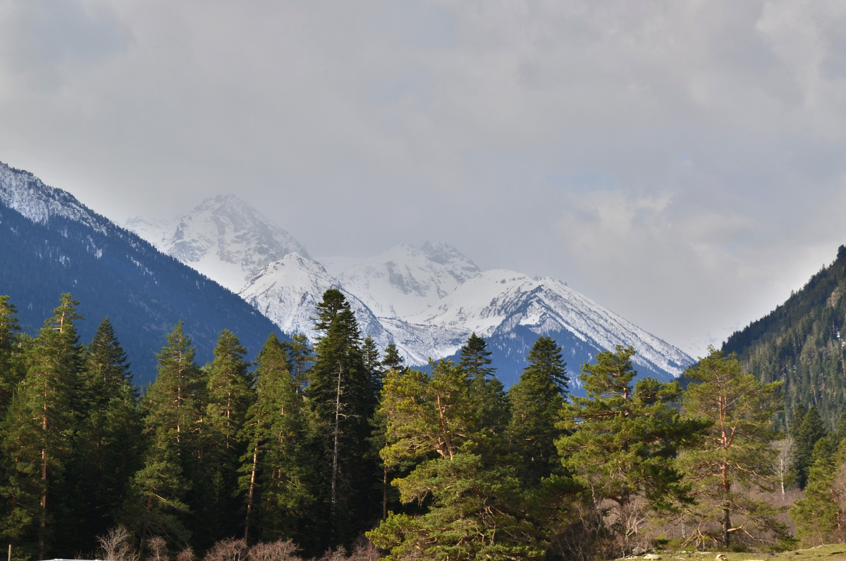 © commons.wikimedia.org by sanechka_puchkova is licensed under CC BY-SA 4.0