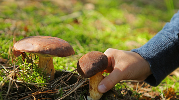    istockphoto.com/JurgaR