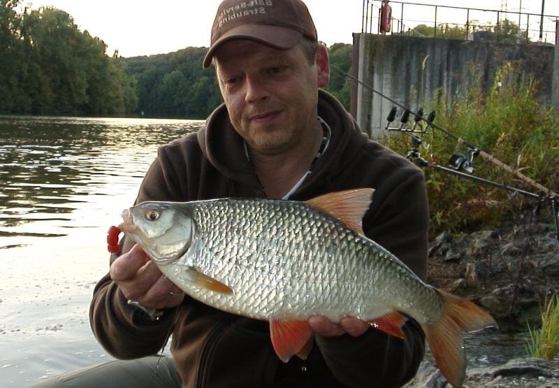 Бывают же особи