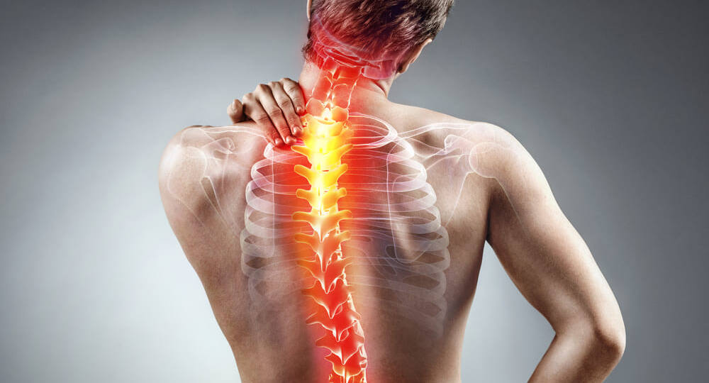 Какие есть виды остеохондроза?