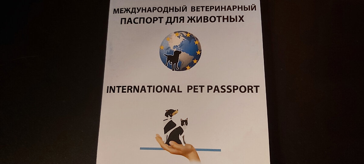 Фото автора. Обложка паспорта кошки, который оформляется в ветеринарной клинике 
