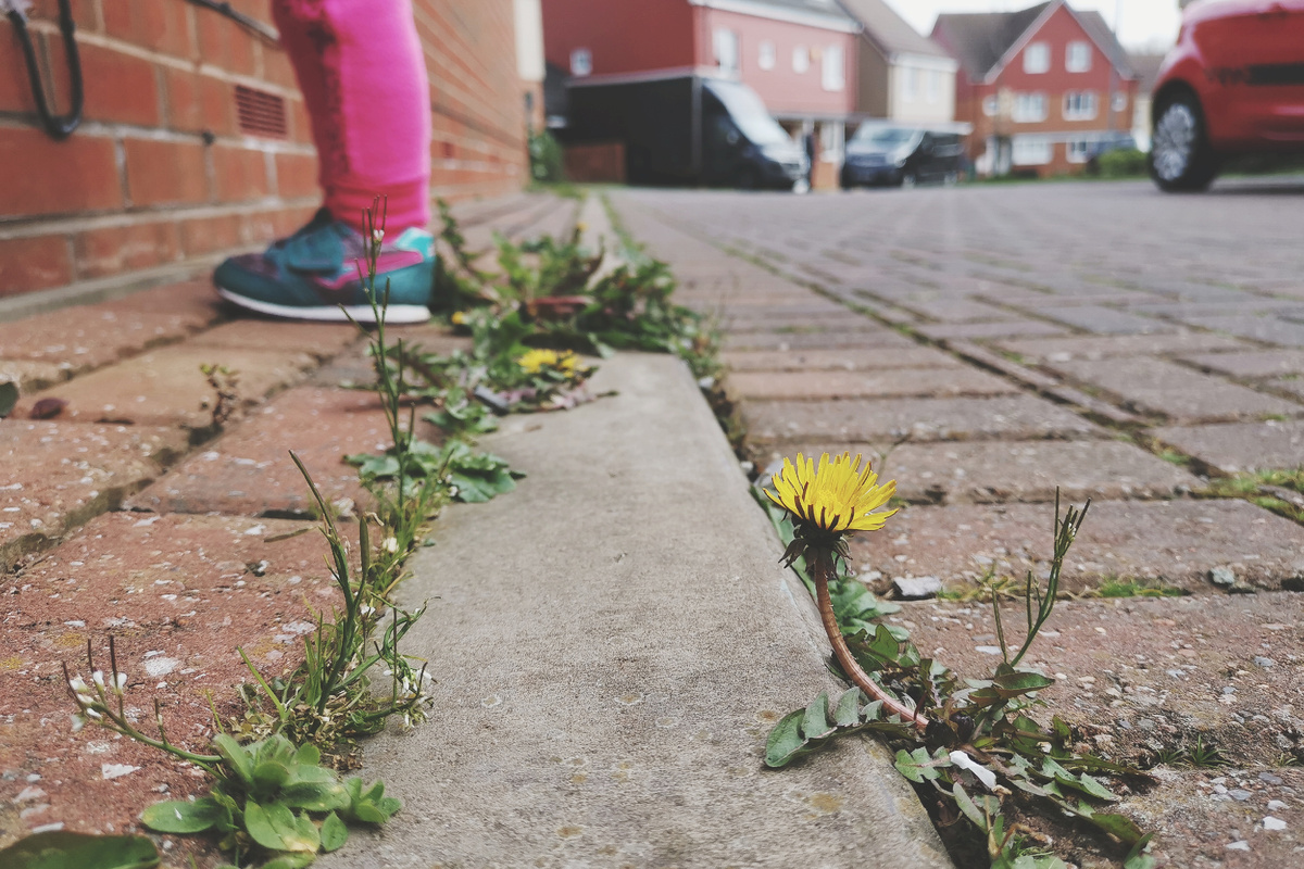 Отмостка вокруг жилого дома