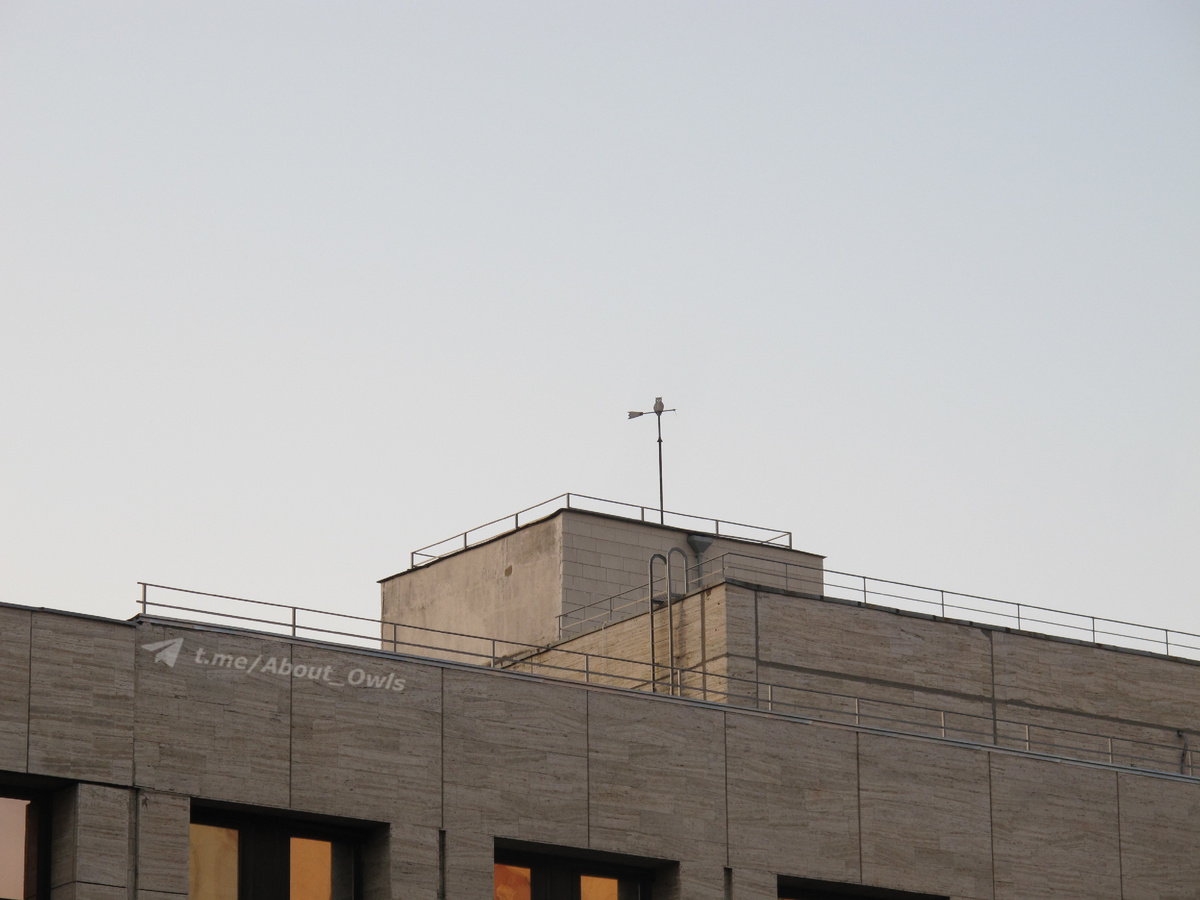 Фото – август 2022