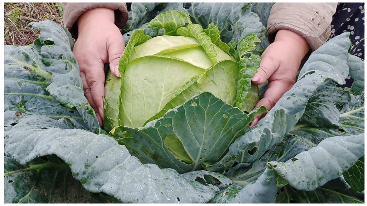 Фото из личного архива.