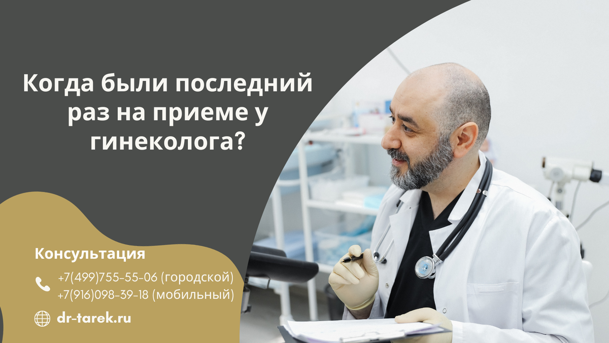 Консультация гинеколога в Санкт-Петербурге ❤️ Euromed Clinic