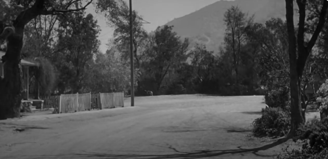 Фильм "Убить пересмешника", 1962 г.