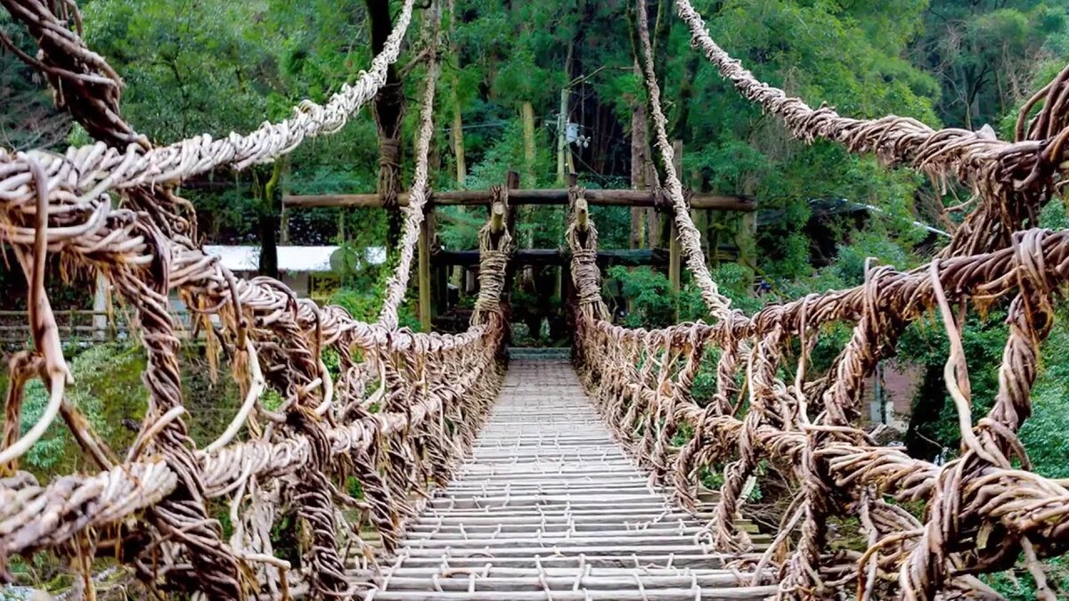 Живой мост, источник no.pinterest.com