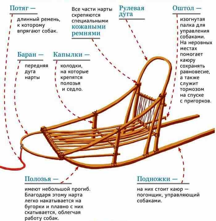 Палка погонщика собак 5 букв. Схема ездовой упряжки. Строение упряжки собак. Сани розвальни строение. Сани для упряжки собак.