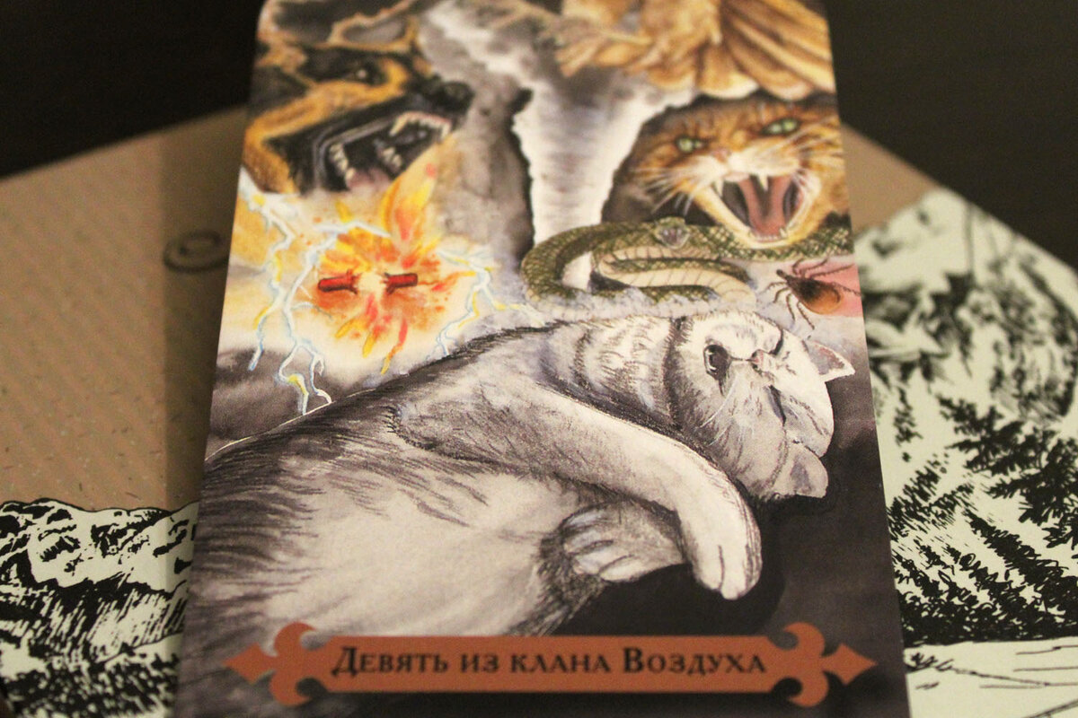 Фото автора. Колода Мистических кошек. 9 мечей.