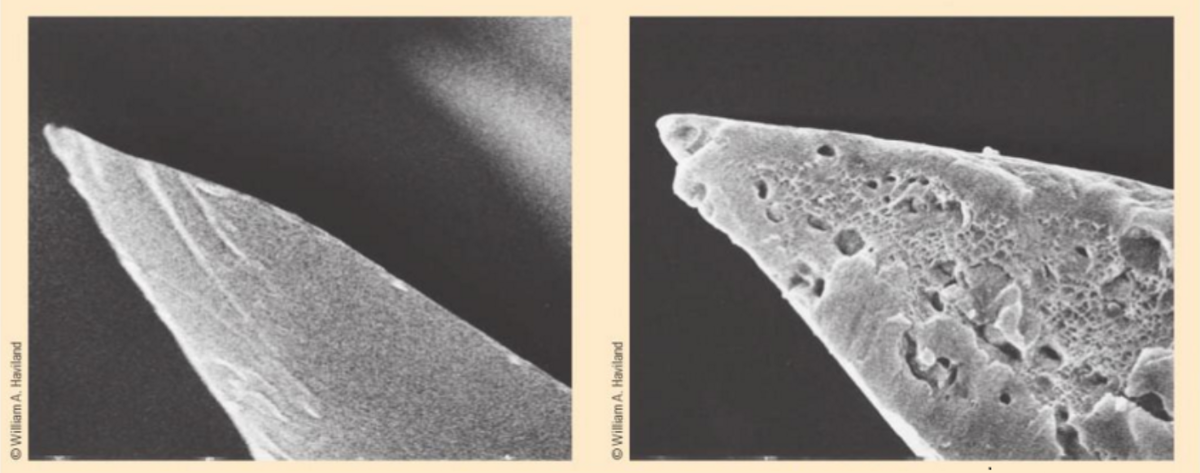 Скальпель из обсидиана и из стали. Угадайте какой где.