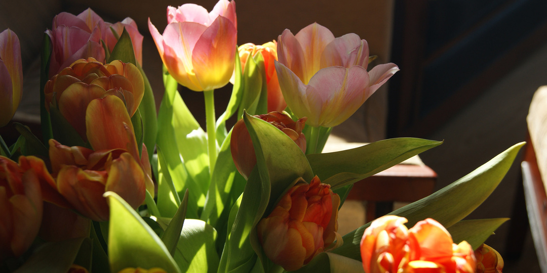 Как рисовать по фотографии, чтобы создать живой сюжет «как с натуры»