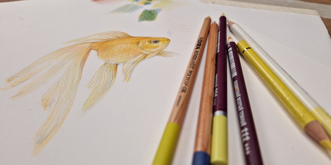 5 причин, почему цветные карандаши – лучший материал, чтобы начать рисовать