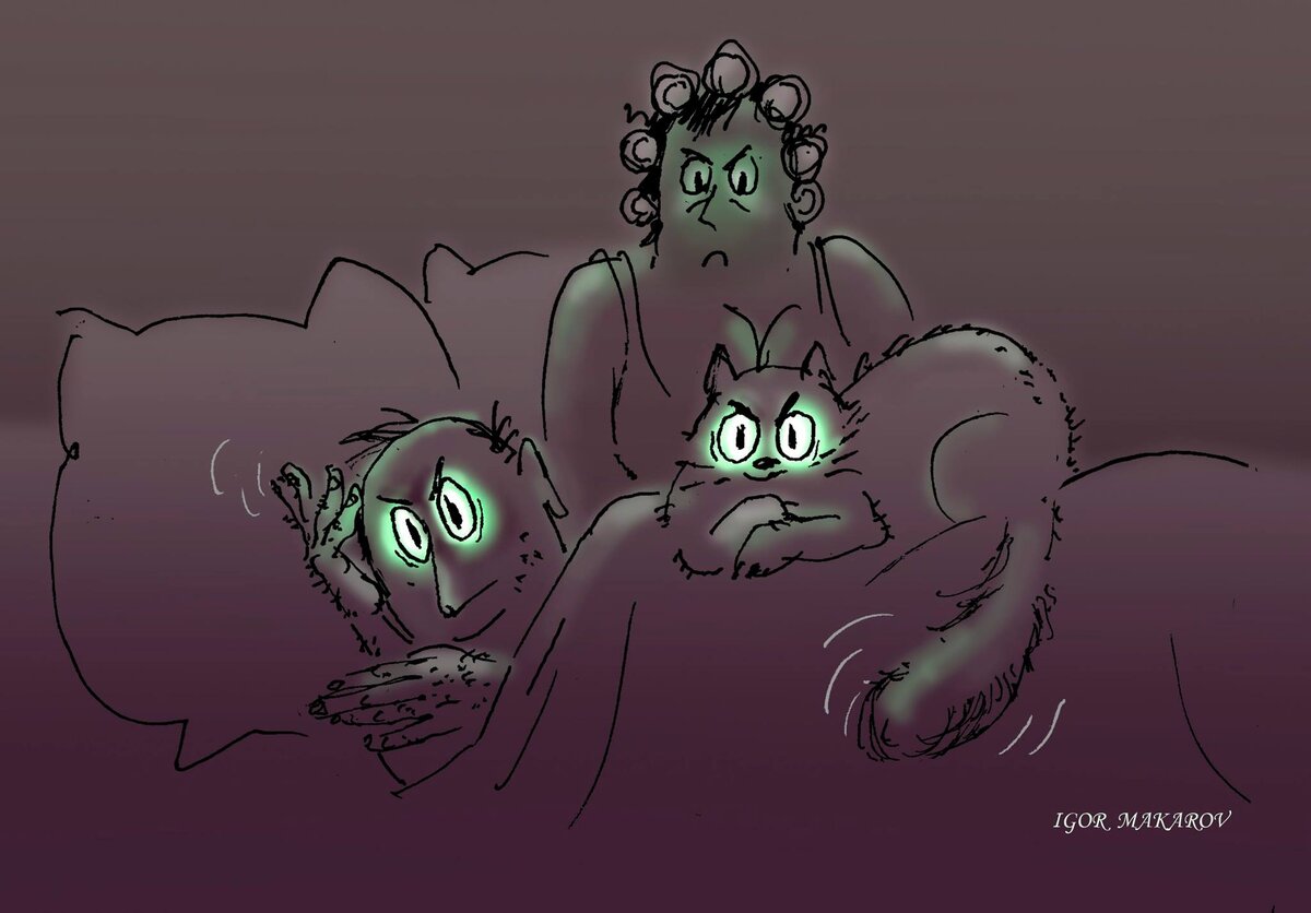 Карикатура художника-карикатуриста Игоря Макарова из серии " Спокойной ночи "