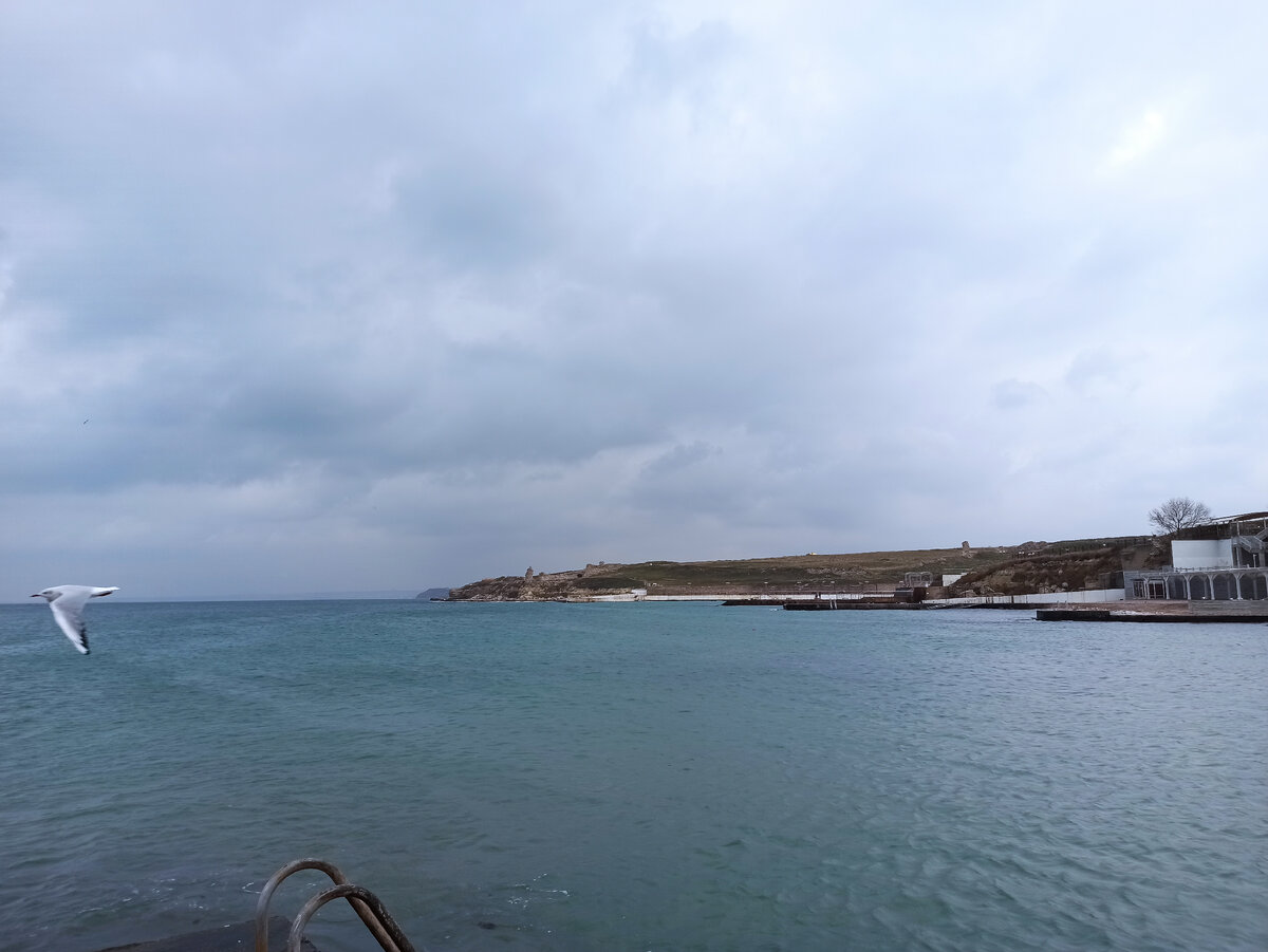 Очередная фотография Черного моря, но теперь уже в пасмурную погоду. Чайка в кадр попала случайно=)