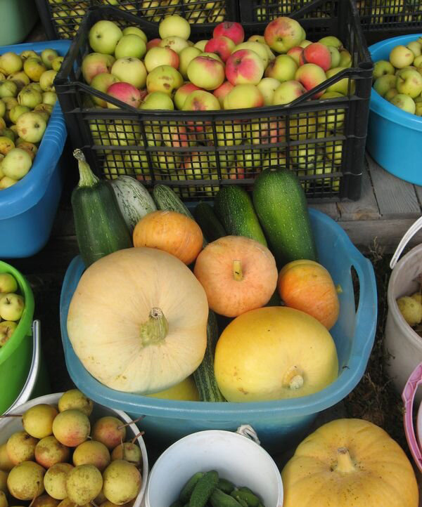 Мало собрать урожай! Еще ведь надо все переработать! Так что отдых наш заслуженный - мое фото