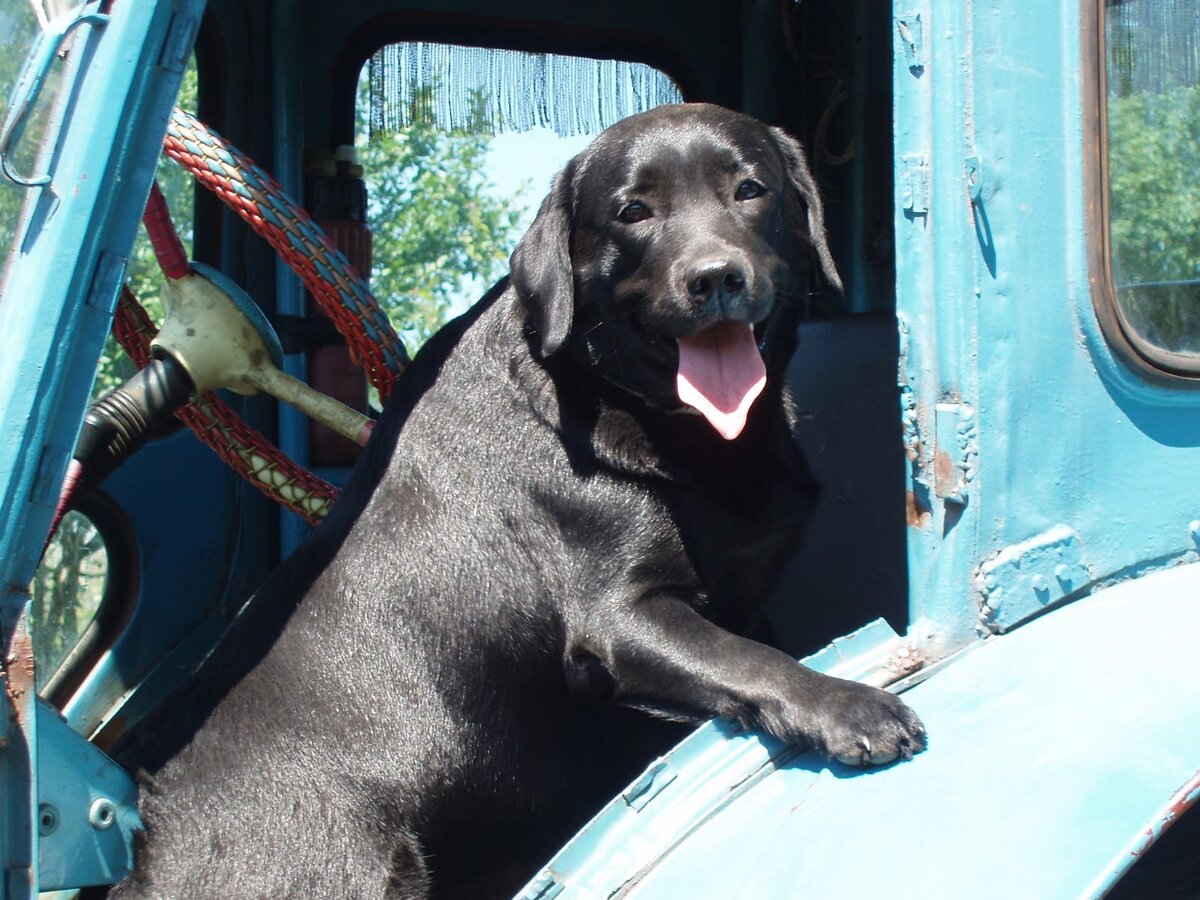 Это наша Нюра! (Фото автора)