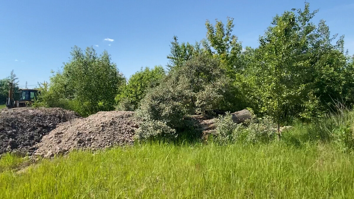 был почти лес