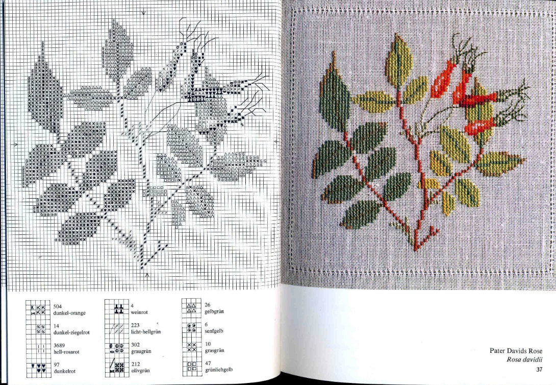 картинка из интернета