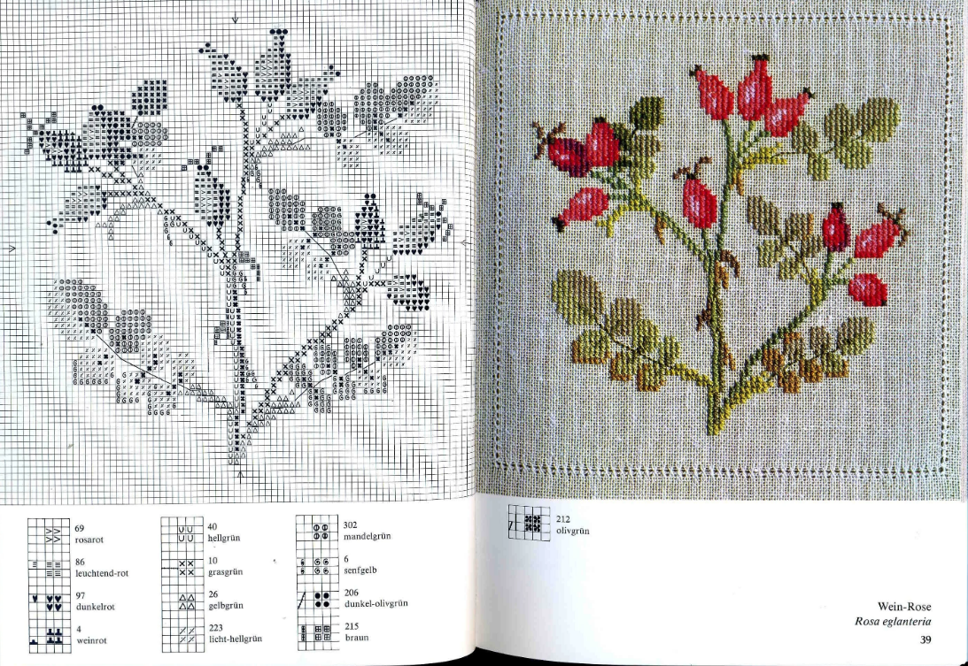 картинка из интернета