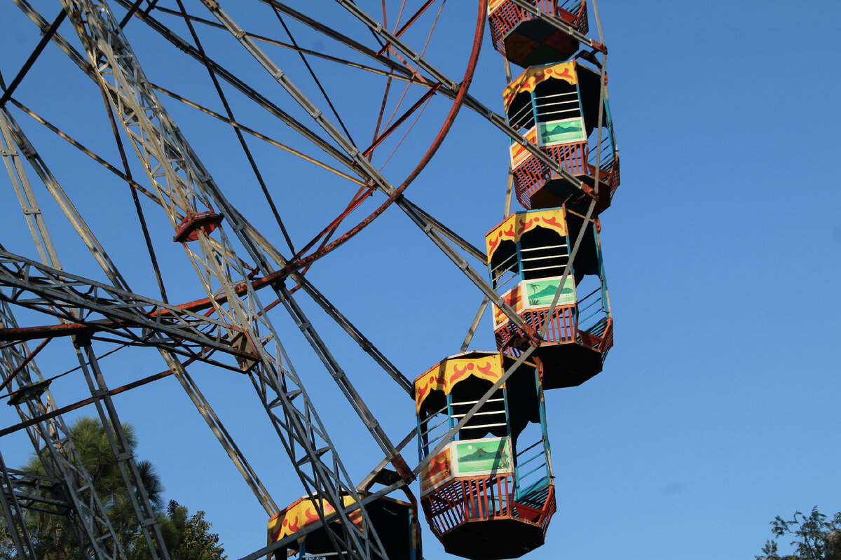 Число прилагательных. Существительное. Что такое единственное имя. Единственное и множественное число имен существительных. Имена существительные единственного и множественного числа.