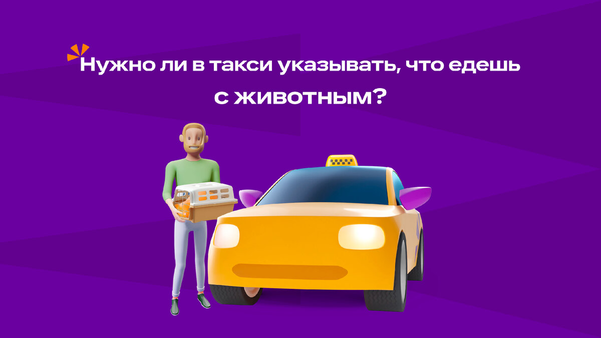 Нужно ли в такси указывать что едешь с животным? | Ситимобил | Дзен