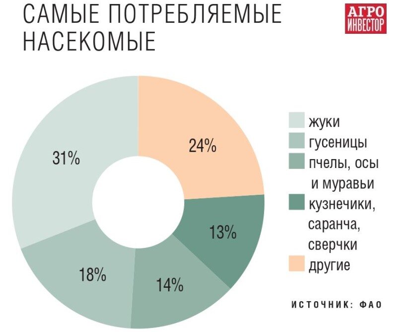 Самые потребляемые насекомые. За фото спасибо: https://www.agroinvestor.ru/technologies/article/31853-protein-xxi-veka/